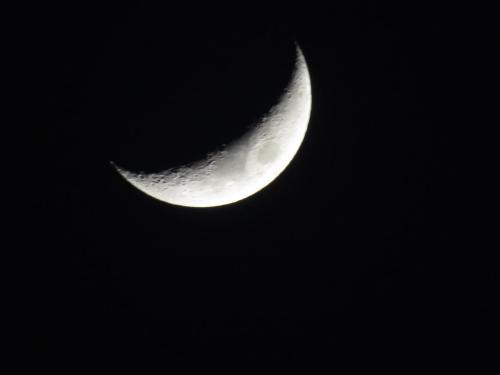 IMG_3273 2