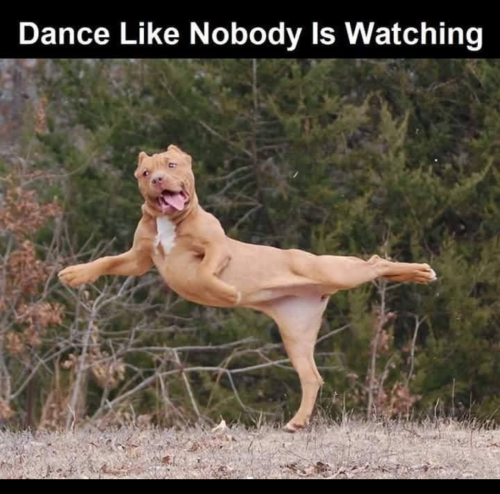 Screenshot_20220226-221737