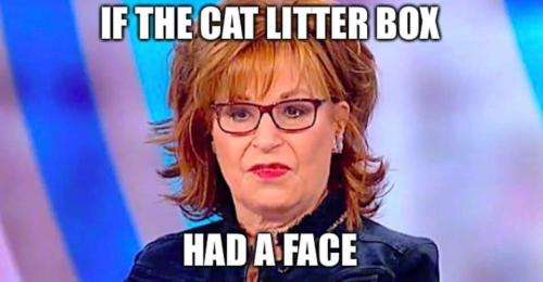 image_1643848313.539