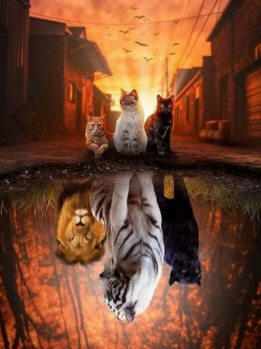 1644533025717_hub_od_