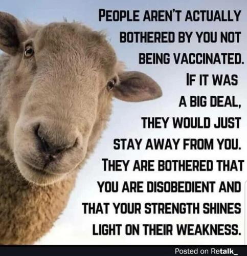 716de4af-ea0e-4de7-b7d0-3404932030f6