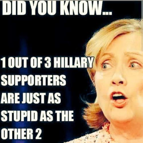 2b7847b41838df75b476f0704d4cdd65--hillary-clinton-meme-anti-hillary