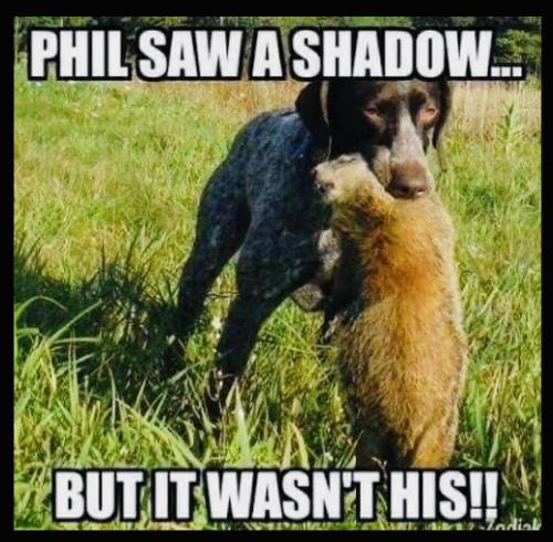 shadow2