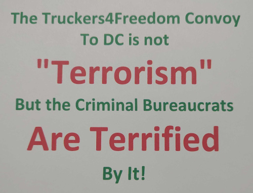 img - 2022-02-03T143816.726