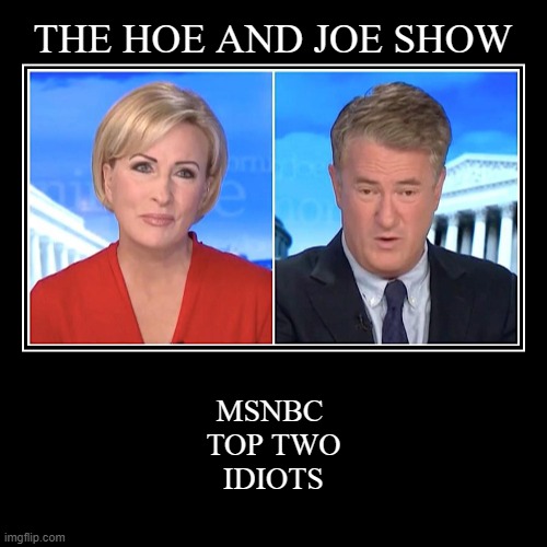MSNBCTOPTWOIDIOTS