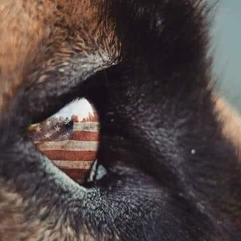 B99543B0-2D44-4CDD-8AA2-CA62DF9D3868