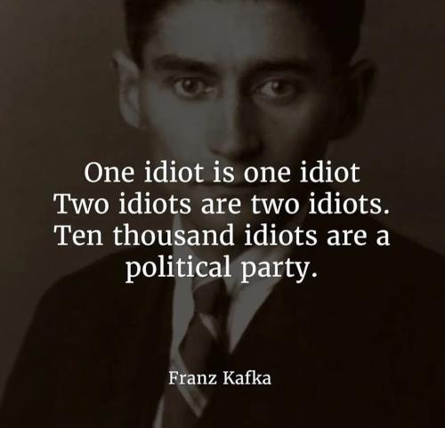 KafkaOneTwoIdiots10000IdiotsPoliticalParty