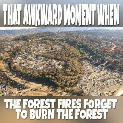 fire