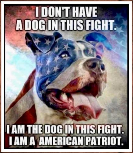 ff0adb36ed31681ade1bfca4c198b1e7_500x0