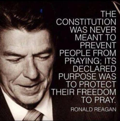M Constitution
