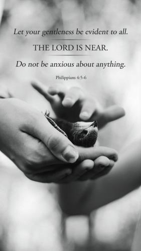 6d46fee4-860d-4d45-aca4-0b9a5cb87422