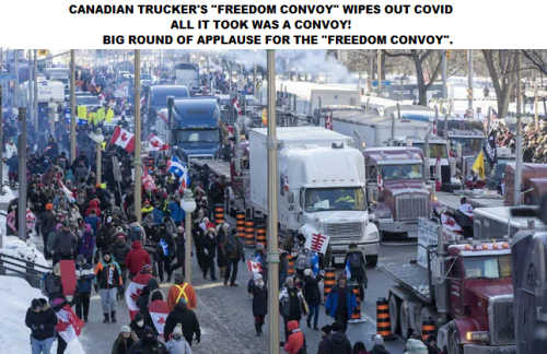 convoyCanada