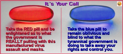 Red Pill Blue Pill ~ 5