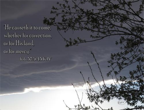 He causeth it to come