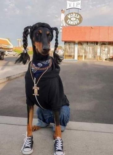 99A3D60C-A2BE-4E54-A639-BA9E92F1E554