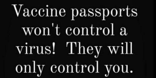 image_1643703000.045