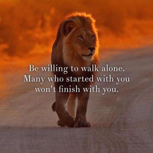 f8b239bb1ce3acd5969e0b521bc8a0b9_500x0