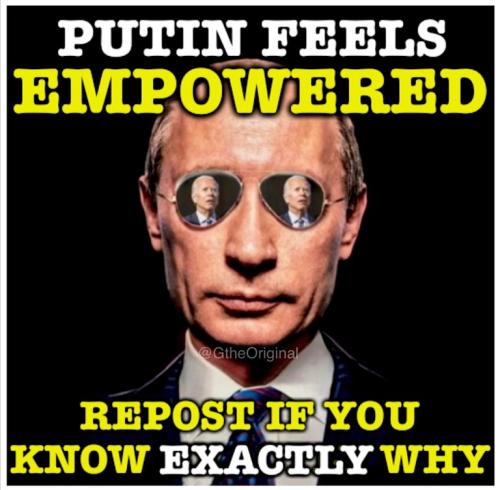 7d416d04707e9143d0fa3d96b8784458_500x0