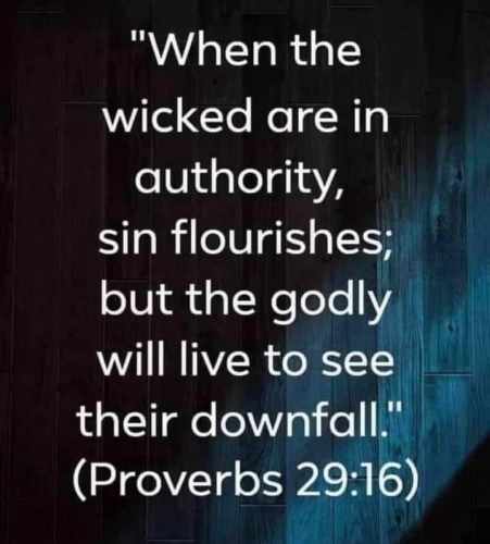 img - 2022-02-02T080735.267