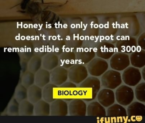 1645202992460_hub_od_