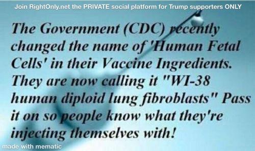 HumanFetalCellsWI38HumanDiploidLungFibroblasts