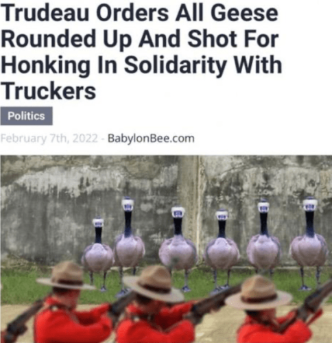 BB9AD5FD-8EE8-40DE-A3A8-409187592DA8