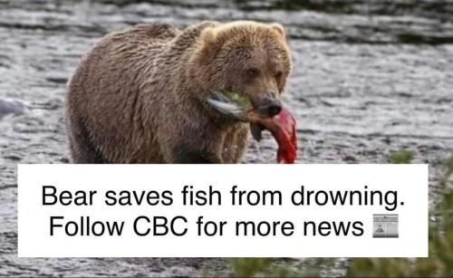 EE183278-7A49-40B0-B465-4DA33C51DB4D