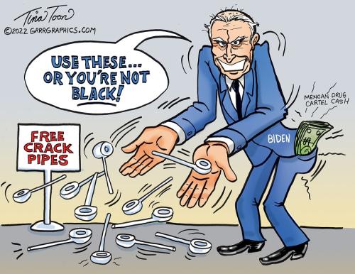 Ben Garrison Tina Toon Biden Free Crack Pipes or You're Not Black