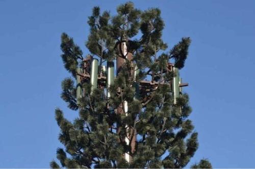 photo5809882904061392917