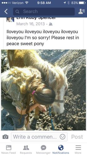 7BE8EB62-584E-4674-8DF0-849F2548CBF2