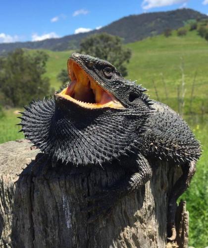 568F6D15-6A40-4264-AA29-79DD140AA5C5