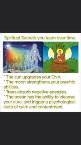 IMG_20220215_034057_482