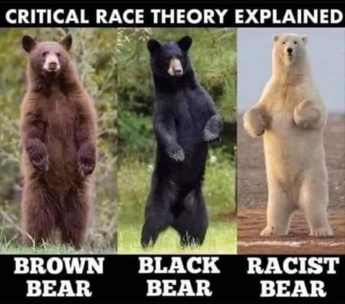 d851d4e0-a8e0-4cb4-8e9f-855724c93eafd