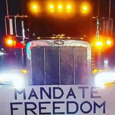 Mandate Freedom