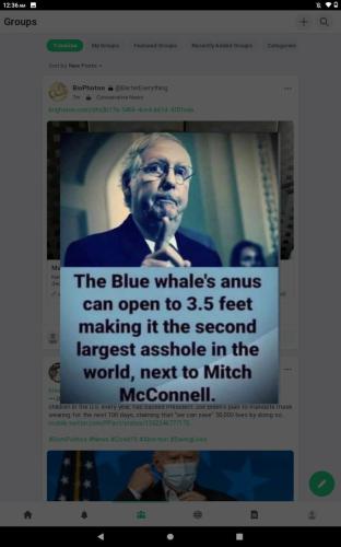 86c4e4d7192b2b19004aea6e11c868b2_500x0