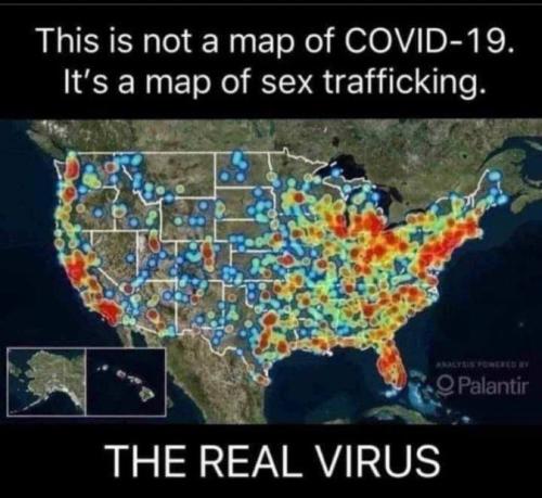 The Real Virus