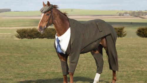 horse