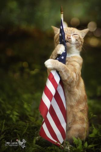 9FEDDB4C-90C5-4123-B917-37E4644FE9F9