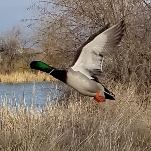 c6127e67-79d3-4a13-b692-9e650cb64319