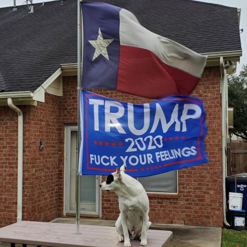 IMG_20201016_084811_478