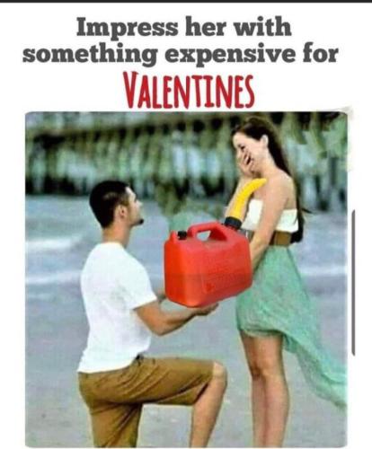 dc292d6013ed4c97f472005776838a94_500x0