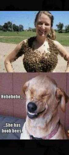 244fdb5977ba652c1c8b7c91530522e1_500x0