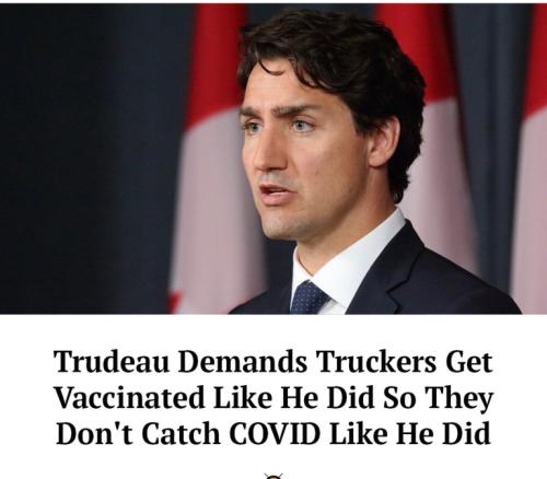 e06fad68a2623ff09259b3a0b34550fb_500x0