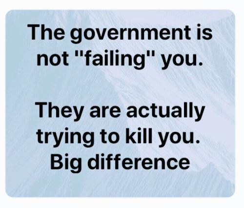 THE GOVERNMENT IS NOT FAILING YOU