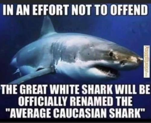 3974f4b1-2618-40f1-b63b-64f56e8680a7d