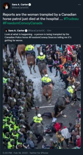 trampled