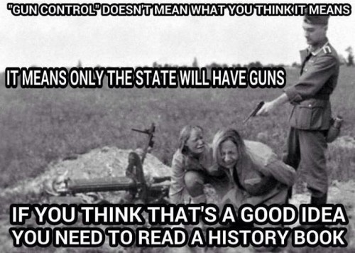Guns100