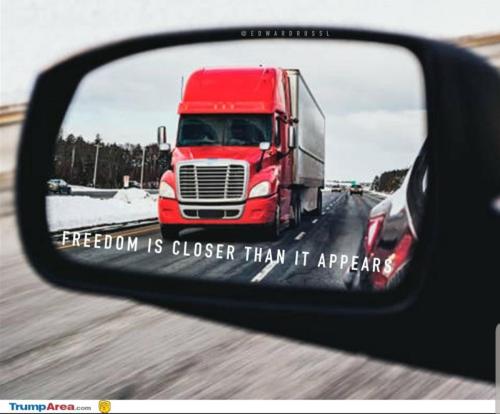 Screenshot_20220201-061614_Brave