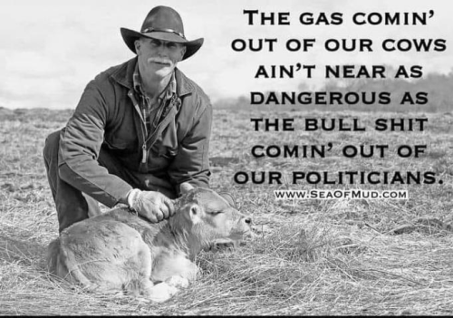 THE GAS