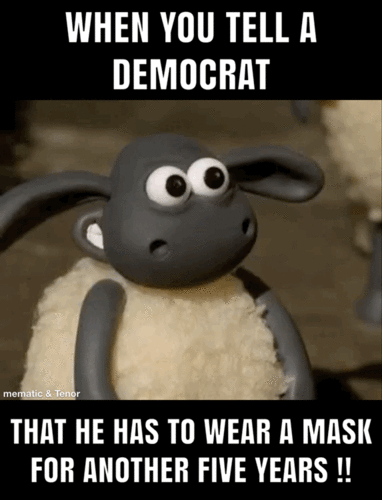 CF7328D8-E4D4-46A2-84E1-2C129D2E4AB6